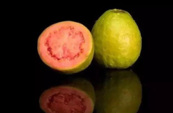 番石榴网红,甜蜜爆表的时尚之选