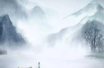 鹧鸪天写真,捕捉诗意瞬间，展现自然之美